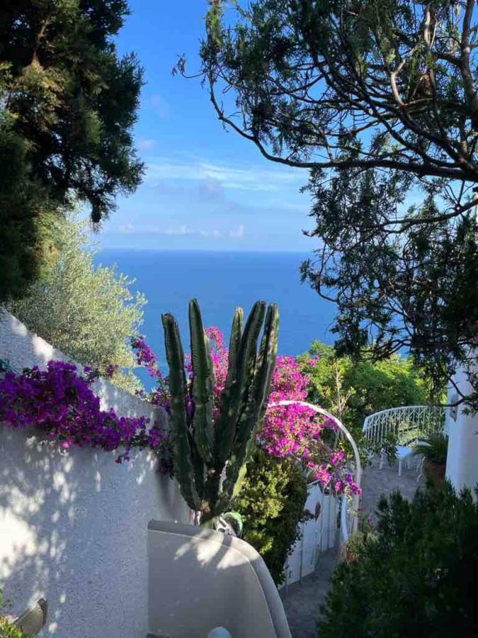 Casa Reverie - Amalfi Coast Villa Praiano Bagian luar foto