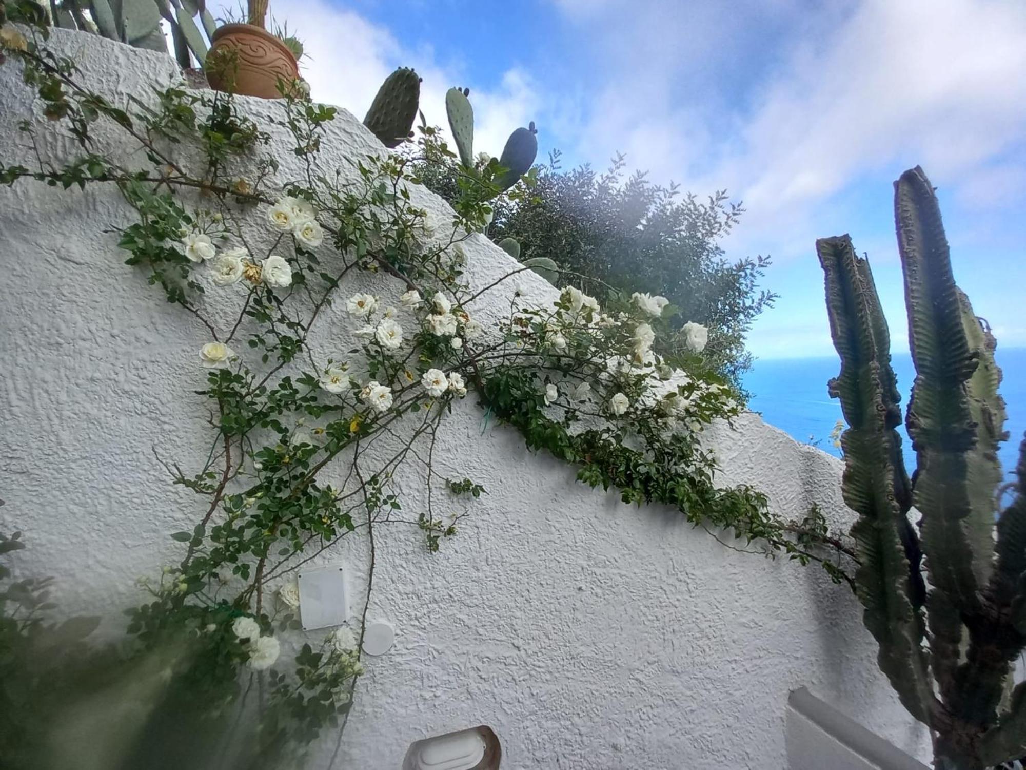 Casa Reverie - Amalfi Coast Villa Praiano Bagian luar foto